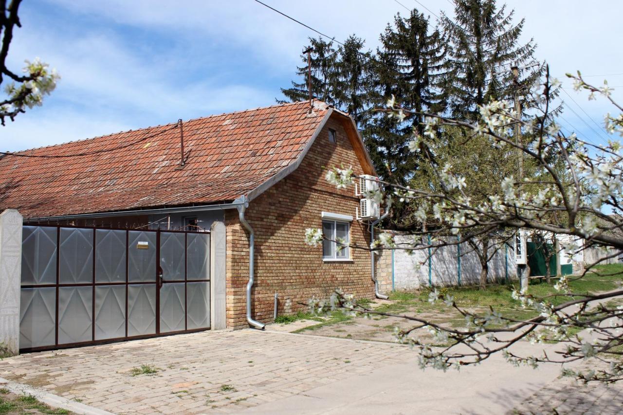 Julia Apartman Pacir Dış mekan fotoğraf